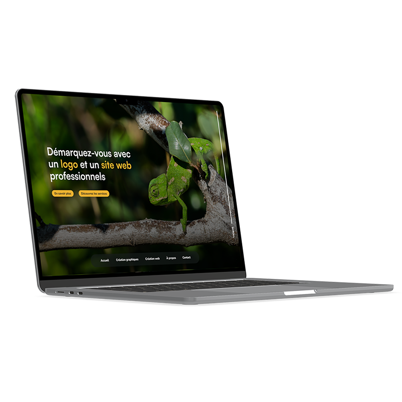 image d'un ordinateur sur le site web de dilepis, mais que se cache-t'il derrière ?